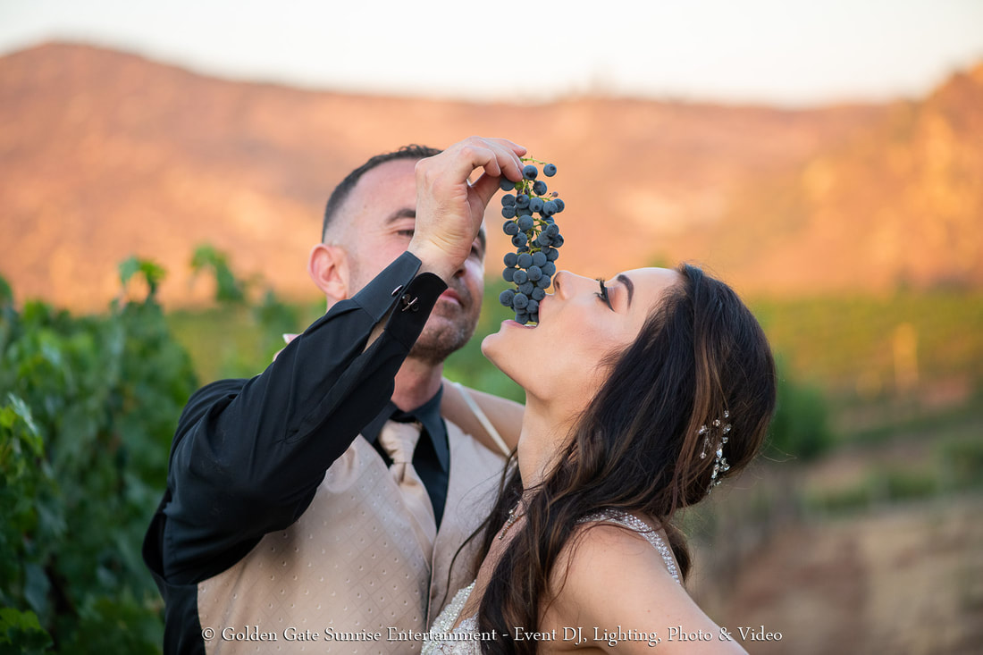 Affordable Wedding Photographers in San Diego Contact Info